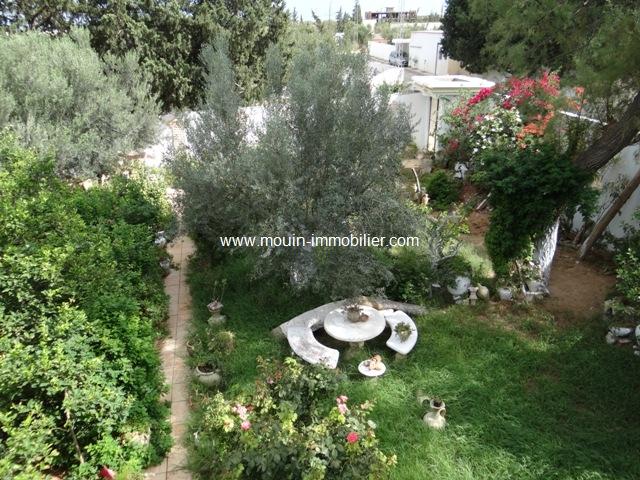 Photo villa lara2 AV501 sidi hammed hammamet image 6/6