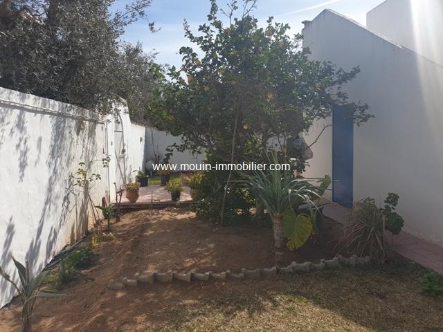 Photo VILLA PAPILLON Hammamet - Zone Craxi, El Faouara  AL2565 image 6/6