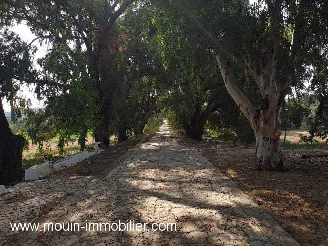 Photo VILLA THYM Hammamet Sud AL1025 image 6/6
