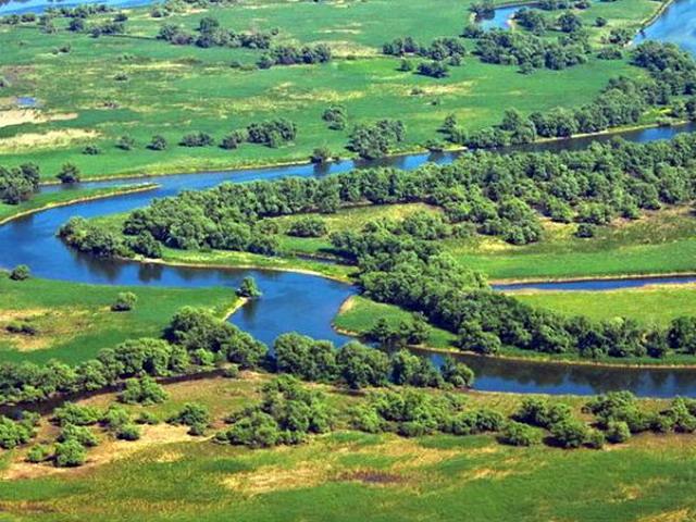 Photo We sell land 736ha in the Danube Delta 26iul image 6/6